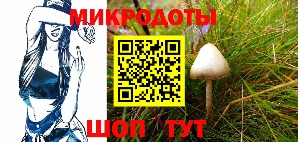 Псилоцибиновые грибы Psilocybine cubensis Вятские Поляны